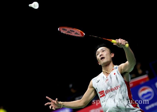 许可范围 许可范围