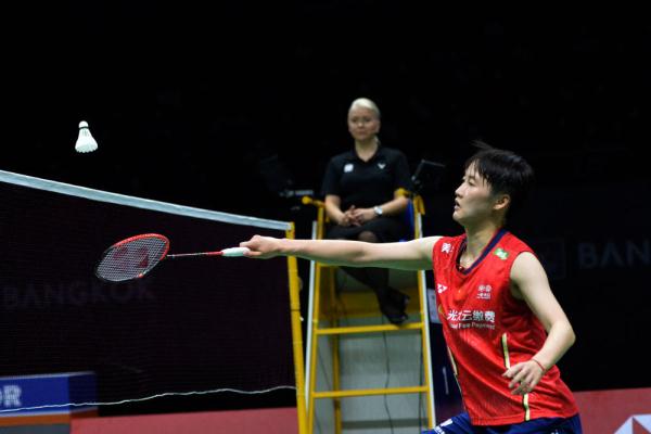 可用坯体 可用坯体