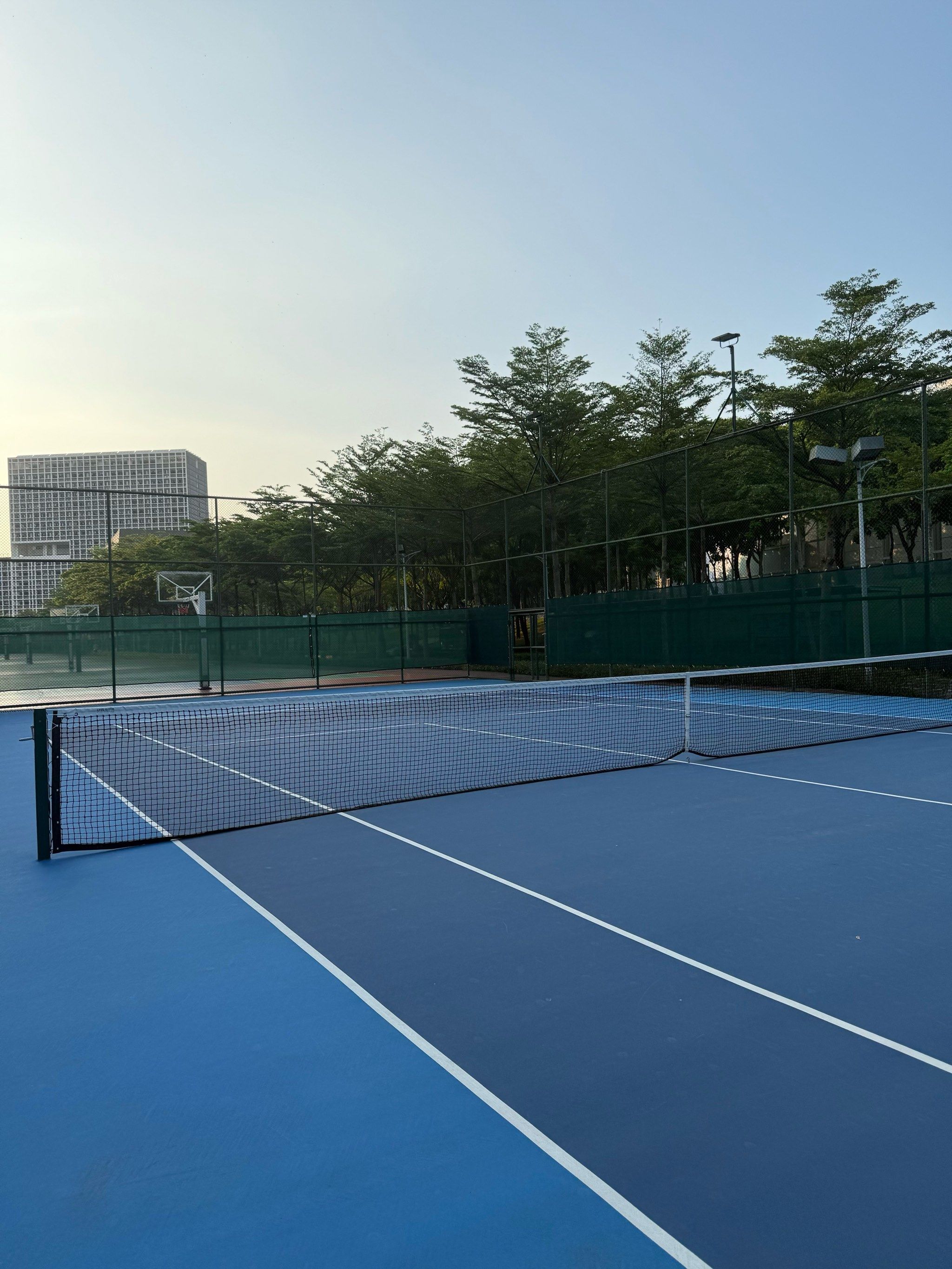 新高度 新高度